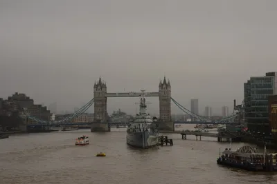 DSC_5869 (Large).JPG